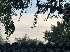 -丽江庭院·云南野生菌·海鲜火锅(鼓楼四合院店)
