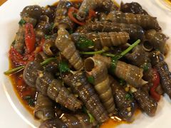 辣椒炒螺-记忠海鲜