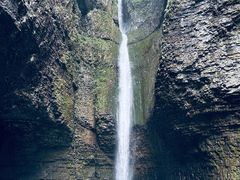 -鹿院坪生态旅游景区