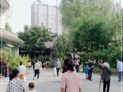 -文瀛公园