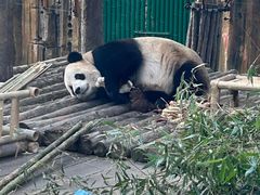 -大连森林动物园