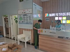 -瑞鹏宠物医院·内科·中兽医·骨科(苗圃店)