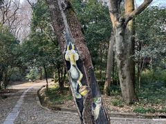 -灵谷景区