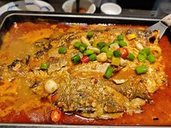 -炉鱼(亲橙里店)