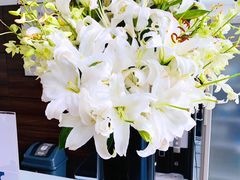 -上海德星奔驰(江杨南路店)