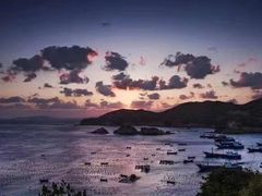 -枸杞岛