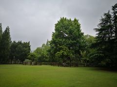 -瀛洲公园