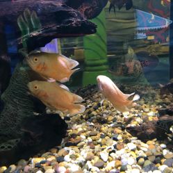 -酷嗒动物文化乐园(cutezoo西溪乐天城店)