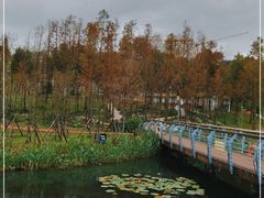 -牛岗山公园