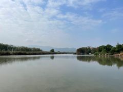 -长兴太湖图影湿地文化园