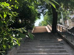 -风车面包