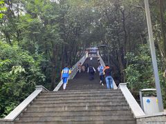 -老君山