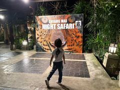 -清迈夜间动物园