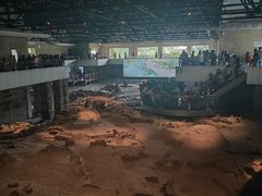 -自贡恐龙博物馆