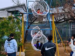 -南山特攻真人CS户外露营轰趴拓展基地