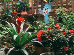 -鱼乐岛餐厅·户外花园主题餐厅