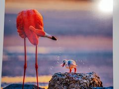 -罗红摄影艺术馆