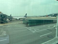 -广州白云国际机场-T1航站楼