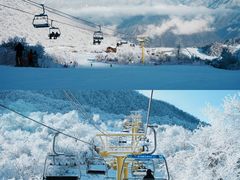 -太子岭滑雪场