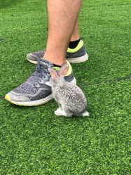 -萌宠亲子动物乐园(槐房万达店)