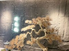 -得意楼蒸菜馆