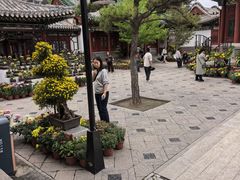 -迎泽公园