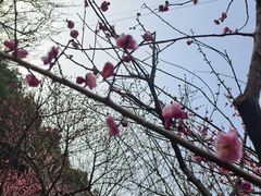 -重庆彩云湖湿地公园