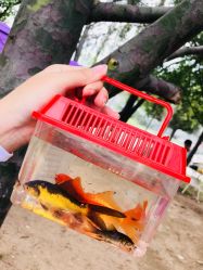 -上美四季动物农场