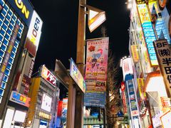 -秋叶原电器街