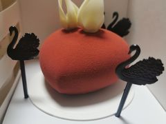 -BLACKSWAN黑天鹅(环球店)