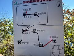 -大岭沟猕猴桃谷风景区