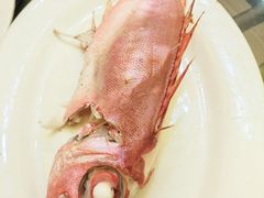 -吴记富苑(朝阳店)