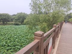 -北京麋鹿生态实验中心