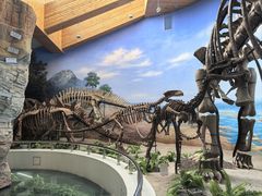 -延庆地质公园博物馆