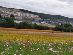 -帽儿山国家森林公园