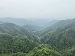 -四明山国家森林公园