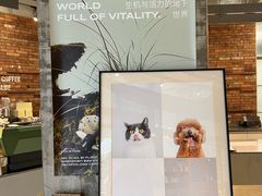 -KUDDO COFFEE(深圳湾总部)