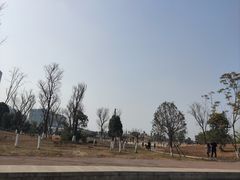 -桂溪生态公园