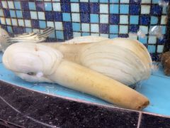 -鹏城人家海鲜酒家·23年老字号(较场尾店)