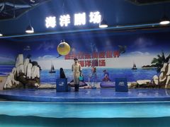-重庆欢乐海底世界