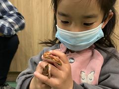 -藦茜花园宠物主题亲子互动体验馆(国顺东路店)