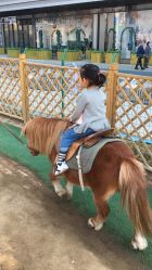 -萌宠亲子动物乐园(槐房万达店)