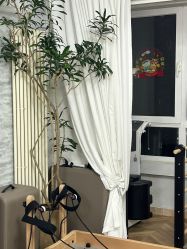 -橙沐普拉提瑜伽