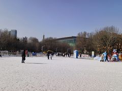 -沈阳奥体冰雪嘉年华