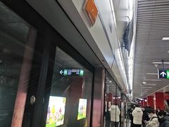 -望京西(地铁站)