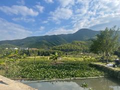 -莫干山风景区