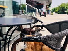 -星巴克(成都科学城店)