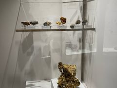 -墨尔本博物馆(Melbourne Museum)