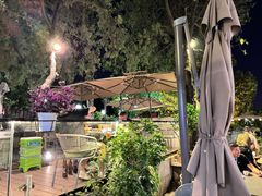 -蘇河湾·新鲁菜·泰山宴(泰山店)
