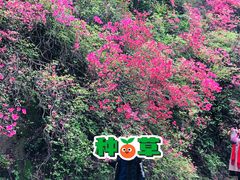 -木兰云雾山